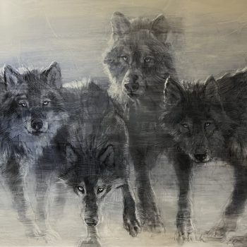 Wolf Pack | Mixed Media | 48 x 72