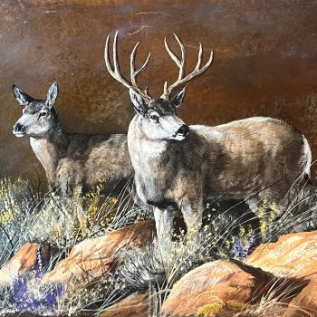 Peaceful Pairing | Oil with Patina on Steel | 13" x 24"