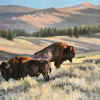 Temporary Truce | Oil | 30" x 40"