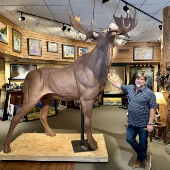 Teton Royalty | 120"H x 46" W x 81" L | Bronze Edition of 15