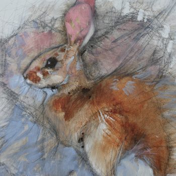 Blush | Oil Wash & Charcoal |10" x 8"