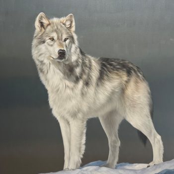 Proud | Oil | 50" x 50"