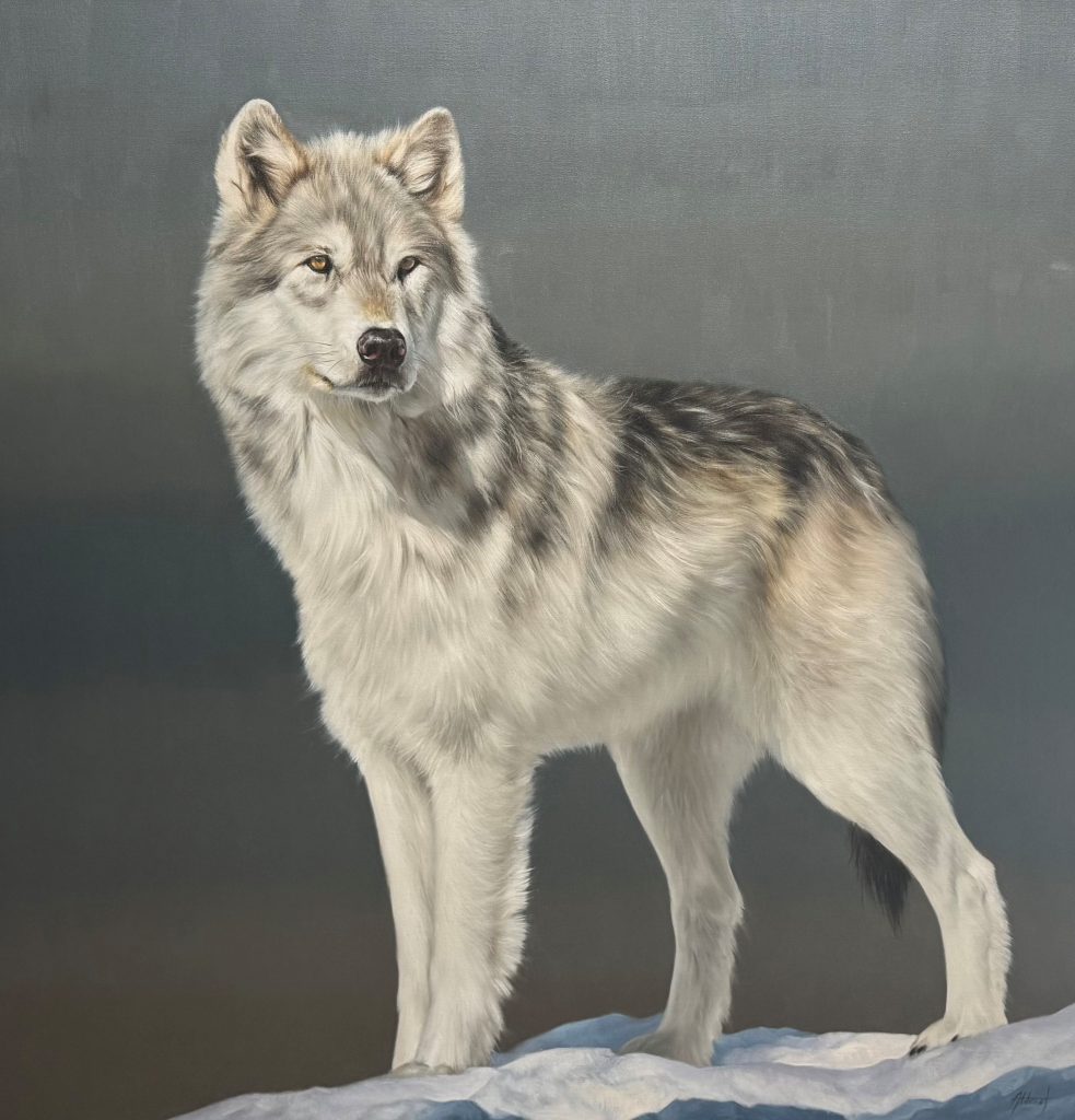 Proud | Oil | 50" x 50"