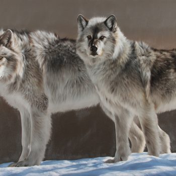 Winter Wolves | Oil | 40" x 72"