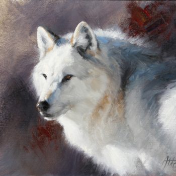 Wolf Portrait | Oil | 10" x 12"