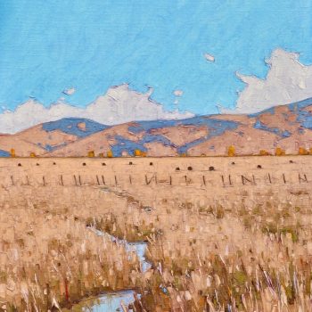 Bakers Dozen | Oil | 20" x 16"