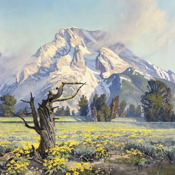 Balsamroot in Bloom | Oil | 28" x 28"