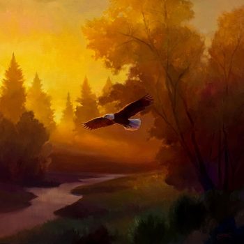 Flying Colors | Oil | 30" x 30"