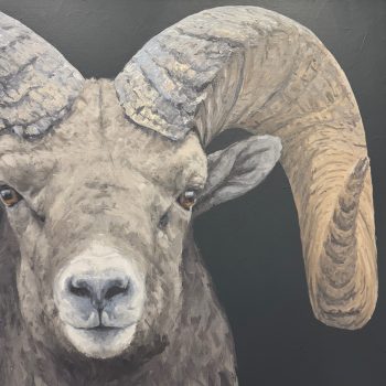 Obstinate | Acrylic | 48" x 48"